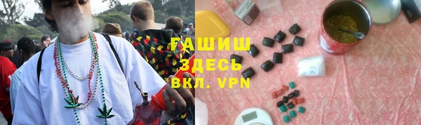 стаф Абинск