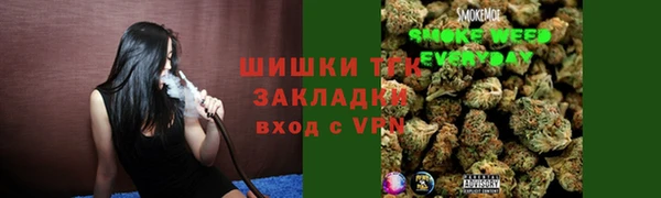 гашик Абаза