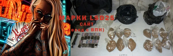 стаф Абинск