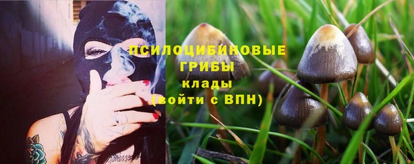 гашик Абаза