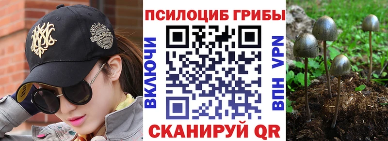 Галлюциногенные грибы Magic Shrooms  kraken ONION  Орск  хочу  