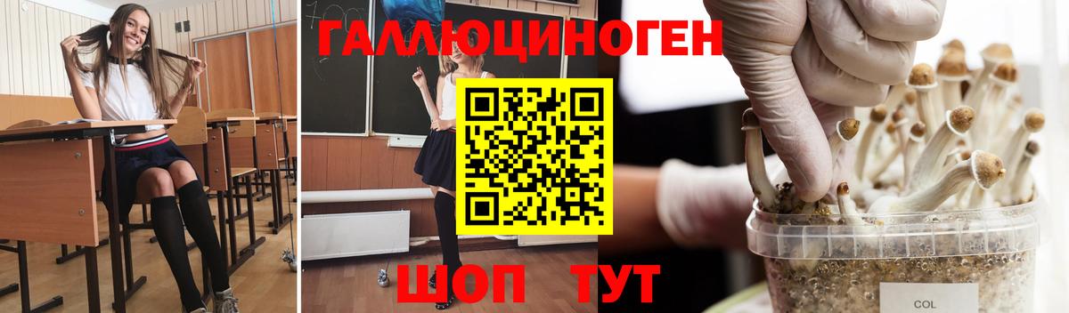 продажа наркотиков  Галлюциногенные грибы мухоморы  Псилоцибиновые грибы Magic Shrooms  Вход с VPN  Орск 